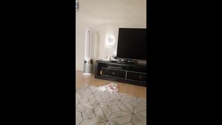 KOREAN BJ 2019101904