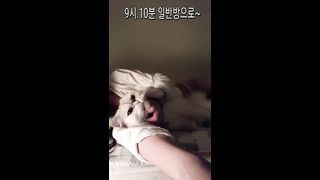 KOREAN BJ 2019102307