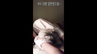 KOREAN BJ 2019102307