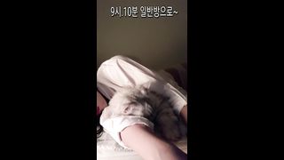 KOREAN BJ 2019102307