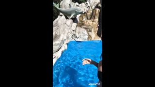 KOREAN BJ 2019103008 Afreecatv part 2