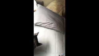 KOREAN BJ 2019110602 Afreecatv part 2