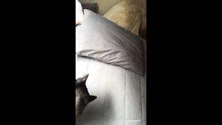 KOREAN BJ 2019110602 Afreecatv part 2