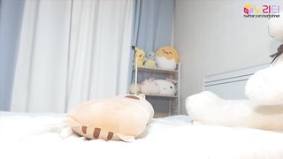 KOREAN BJ 2019111611