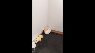 KOREAN BJ 2019112112 part 6