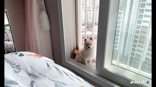 KOREAN BJ 2019112402 Afreecatv part 6