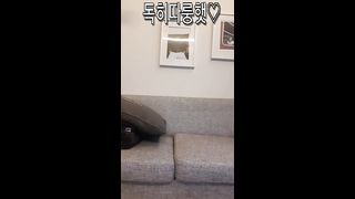 KOREAN BJ 2019112507