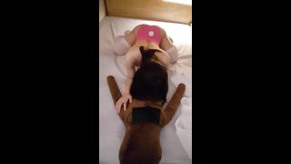 KOREAN BJ 2019112703