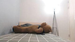KOREAN BJ 2019091501
