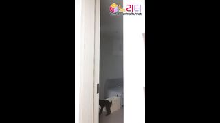 KOREAN BJ 2019120912  Anchaeeun