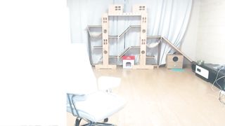 rhaktnftk_20190508