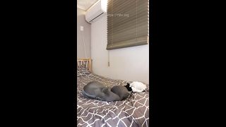 pcw5453_20190118