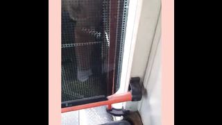 KOREAN BJ 2018112312 part 2