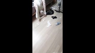 KOREAN BJ 2018112904