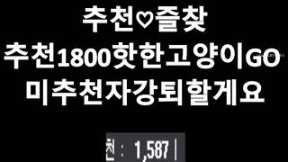 KOREAN BJ 2018120306
