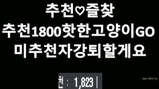 KOREAN BJ 2018120306