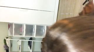 KOREAN BJ 2018120808