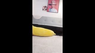 KOREAN BJ 2018121502