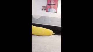 KOREAN BJ 2018121502