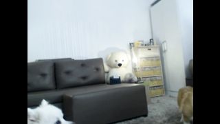 KOREAN BJ2019012512