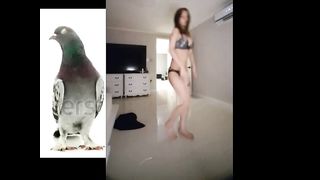 KOREAN BJ2019012704 BJ Couples