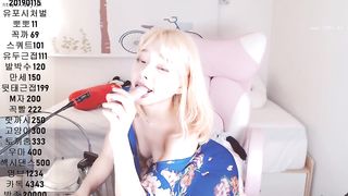 KOREAN BJ2019020410