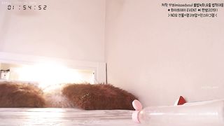 KOREAN BJ 2019032901