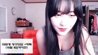 KOREAN BJ 2019041602