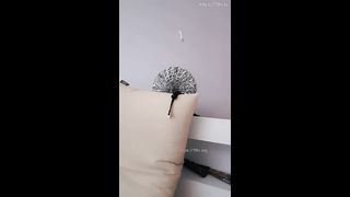 KOREAN BJ 2019041705