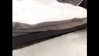 KOREAN BJ 2019042503