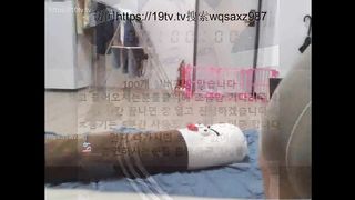 KOREAN BJ 2019071501