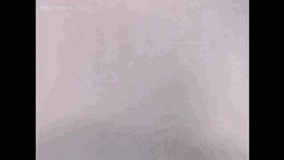 KOREAN BJ 2019071501