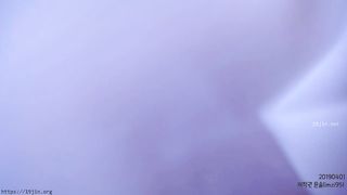 KOREAN BJ 2019080205