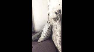 KOREAN BJ 2019082403