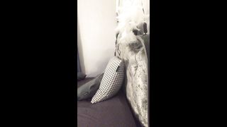 KOREAN BJ 2019082403