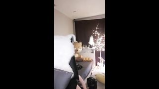 KOREAN BJ 2019082706