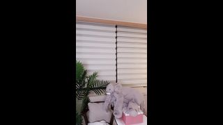 bong2580_20191003