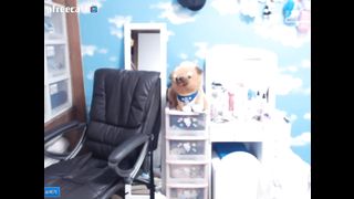 KOREAN BJ 2015090101 Afreecatv part 2