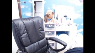 KOREAN BJ 2015090101 Afreecatv part 2