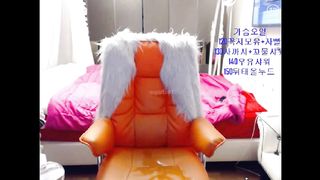 KOREAN BJ 2015112502