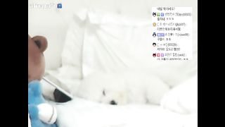 KOREAN BJ 2016011907 Afreecatv part 1