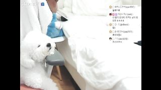 KOREAN BJ 2016011907 Afreecatv part 4