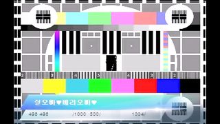 KOREAN BJ 2016022008