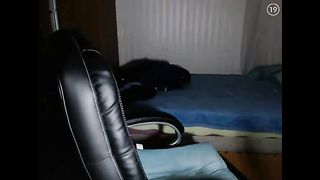 KOREAN BJ 2016022502