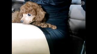 KOREAN BJ 2016031103 part 1