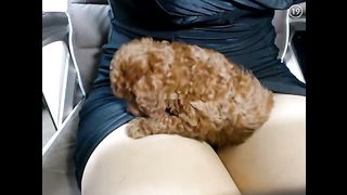 KOREAN BJ 2016031103 part 1