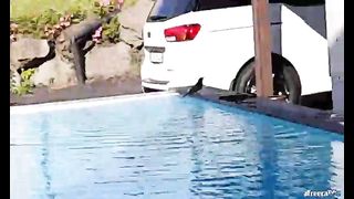 KOREAN BJ 2016061502 Afreecatv part 2