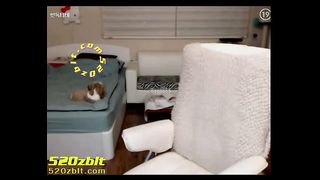 KOREAN BJ 2016120701 Joie part 3