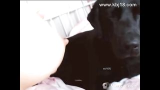 KOREAN BJ 2016122405