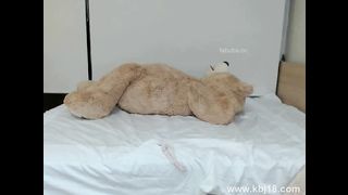 KOREAN BJ 2017012302 Dodo